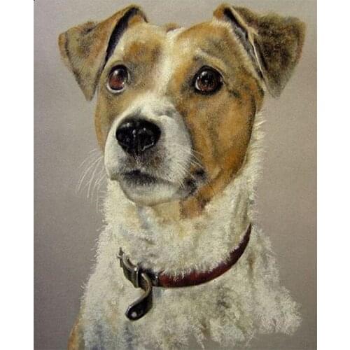 5d diy Diamond Embroidery Animal Jack Russell Terrier Dog diamond Painting Animal Cross Stitch Full Diamond Mosaic Decor GH485