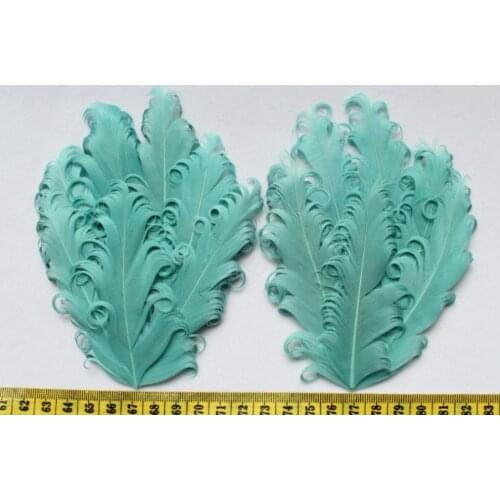 Set of 10pcs Aqua Curled Goose Feather Pads Curly Nagorie feather pads free shipping