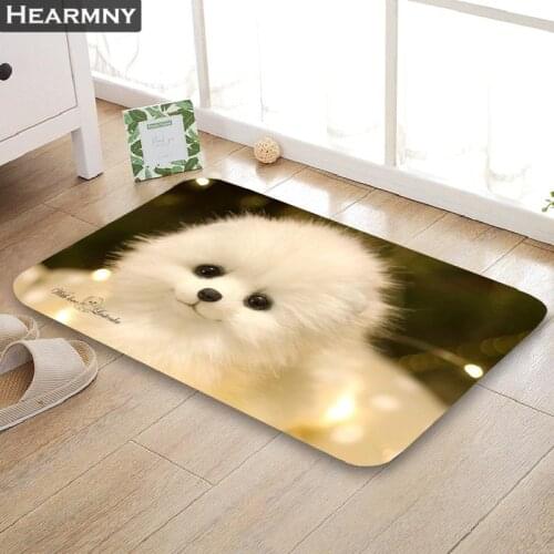Custom Pomeranian Funy Doormat Floor/Bath/Kitchen/Beach Mat Flannel Sponge Fabric 3D Printed Shaggy Decoration For Bedroom