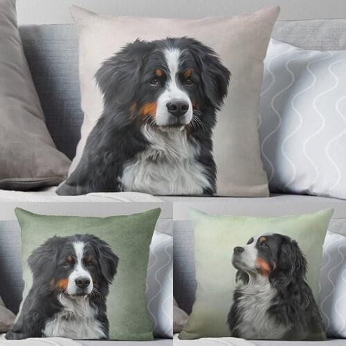 Pet Dog cojines sofá Cushion Cover Velvet Custom Pillow Cover For Living Room Sofa Decorative Pillows Home Decor Pillowcase