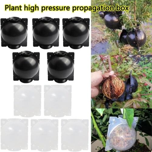 5pcs Plant Rooting Ball Grafting Rooting Growing Box Breeding Case For Garden Plant High-pressure Propagation Box Sapling