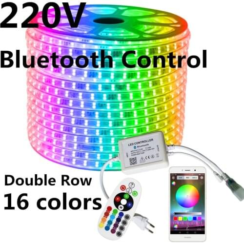 Double Row 220V RGB LED Strip +IR 24key Bluetooth Control 120LEDs/M 5050 Light Tape IP67 Waterproof Outdoor decoration lamp