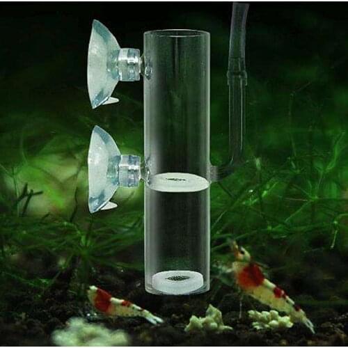 Aquarium Eggs Incubator Hatch Crystal Shrimp Fish Tank Transparent Glass Supply
