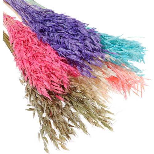 25/50PCS Colorful Wheat Ear Grass Dried Flowers Bouquets Natural Material Plant Stems Real Flower Shooting Props Wedding Decor