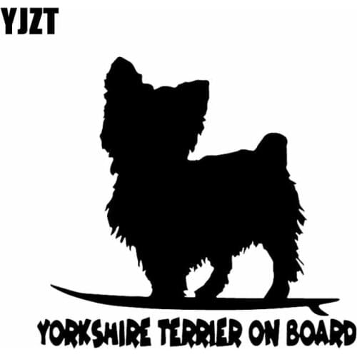 YJZT 15.7X14.4CM Yorkshire Terrier On Board Funny Dog Decal Vinyl Car Sticker Window Black/Silver C24-1621