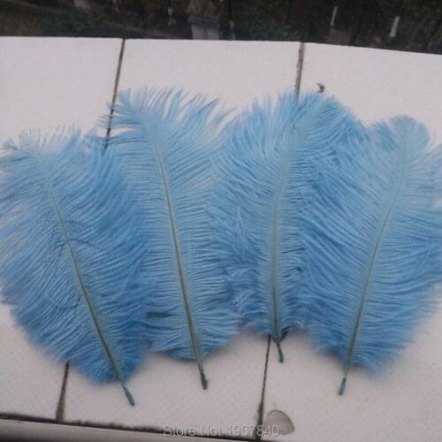 Wholesale 10 PCS / lot Light blue ostrich feathers 15-20 cm 6-8 inches wedding stage decoration