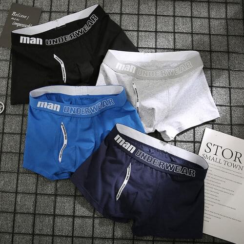 2-4Pcs Boxer Mens Underwear Men Cotton Underpants Male Pure Mans Panties Shorts Underwear Boxers Shorts Cotton Solid Cuecas 365