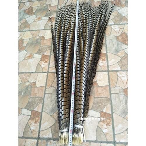 Wholesale 50pcs original natural Lady Amherst Pheasant Feather 4-48inch/10-120cm Decorative Performance Accessories Carnival