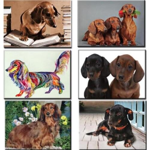 Full Square Round 5d Diy Diamond Painting Professor Dachshund cross stitch kit dog pet diamond dots wedding decorationZP-3393