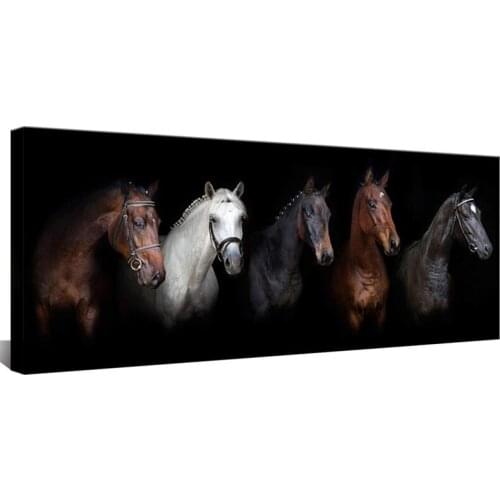 Diamond Embroidery Black White Horse Diamond Painting Cross Stitch Kits animal Full Square Resin Diamond Mosaic Home Decoration