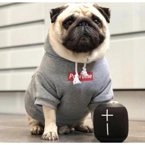Fashion Dog Hoodies French Bulldog Clothes Pet Sweatshirt For Dog Cloth Solid Pet Sweater Fashion Dog Clothing Pet Supplies