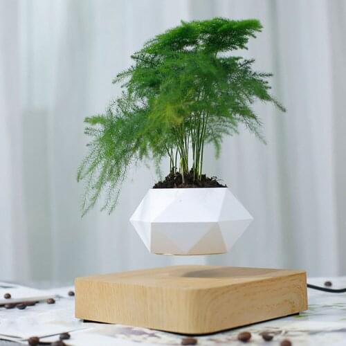 Magnetic Levitation Potted Aerial Ornaments Suspended Woodgrain Plant Bonsai Lamp Night Bedroom Fancy Lighting Table Light Kids