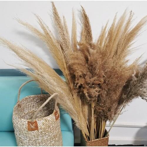 Larger Pampas Grass Wedding PampasGrass home Decor Dried Flowers Decoration Artificial 100/130cm Dried 20/30/50pcs big size