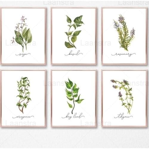 Canvas Art Painting Herbal Collection Wall Art Decor Poster Oregano Sage Rosemary Basil Basil Thyme Plant Mural Home Decoration