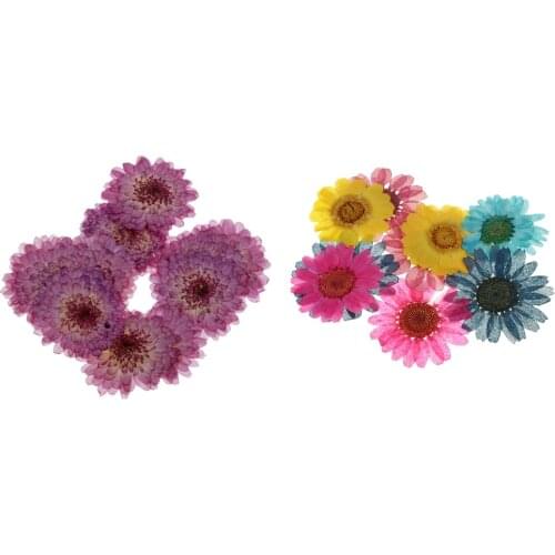 20pc Pressed Dried Flowers Real Chrysanthemum for DIY Scrapbooking Art Craft