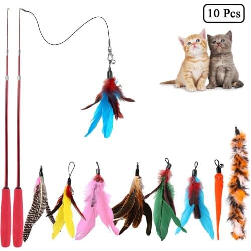 10 Pack Pet Cat Toy Feather Rod Teaser Stick Extendable Interactive Playing Training Cat Toy