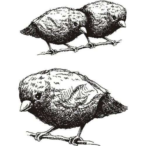 Bird clear Silicone Rubber Stamp for DIY scrapbooking/photo album Decorative craft E14