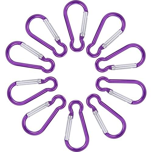 10Pcs Aluminum Carabiner D-Ring Key Chain Clip Camping Keyring Snap Hook Outdoor Travel Kit