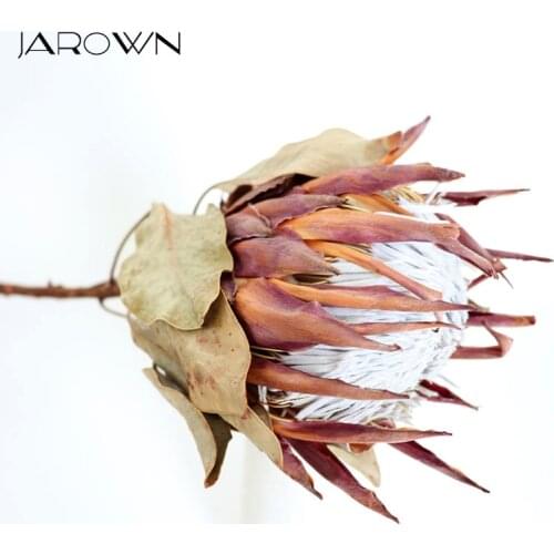 JAROWN Natural Dried Flowers Emperor Flower Princess flower Real Floral Dried Branch Wedding Decor Accessories Home Garden Decor