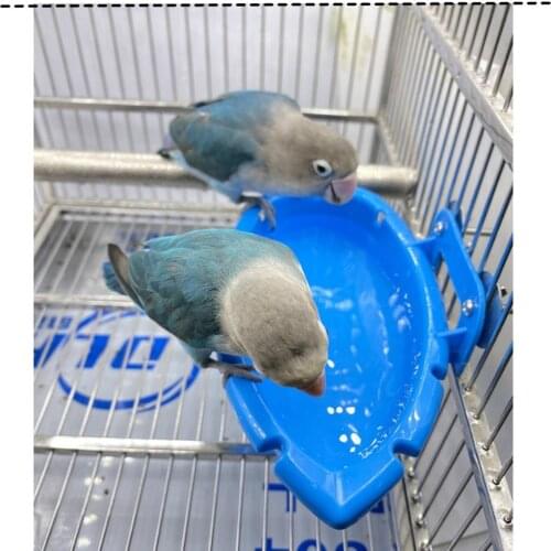 HobbyLane Animal Care Items