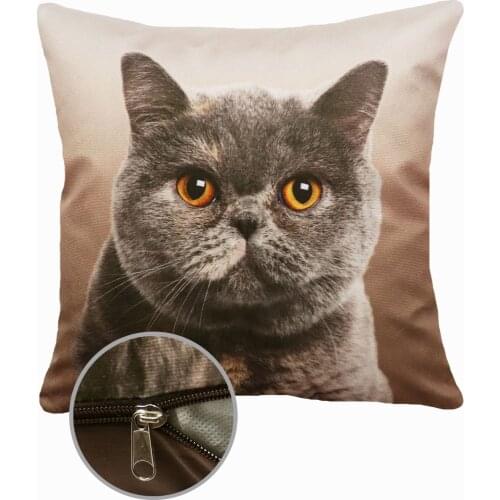 Сказка на ночь Decorative Pillows