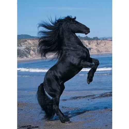 Full Square/Round 5D DIY Diamond Painting beach Black horse landscape 3D Embroidery Cross Stitch Mosaic Painting home Decor