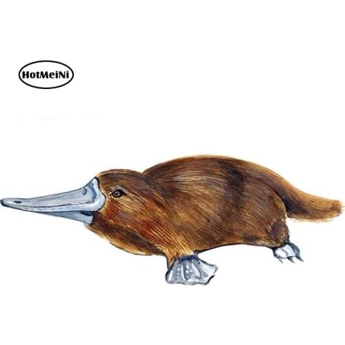 HotMeiNi 13cm x 5cm DUCK BILLED PLATYPUS VINYL AUTO BOAT RV CAMPER GLASS WINDOW DECAL STICKER GIFT Animal Car Sticker Graphic