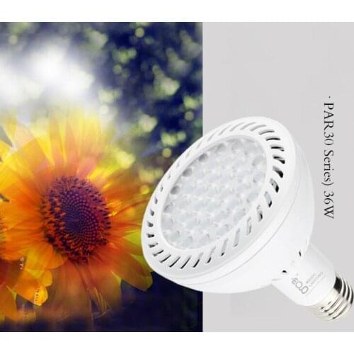 10pcs 36W 36 leds E27 Par30 LED Bulb 85-265V Warm White/white 4000K/6000K LED spotlight for track USA Japan and Euro indoor use