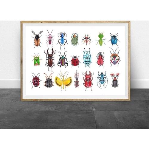 Beetles Collection Illustration Prints Nature Wall Art Poster Home Room Decor Insect Art Retro poster kraft paper
