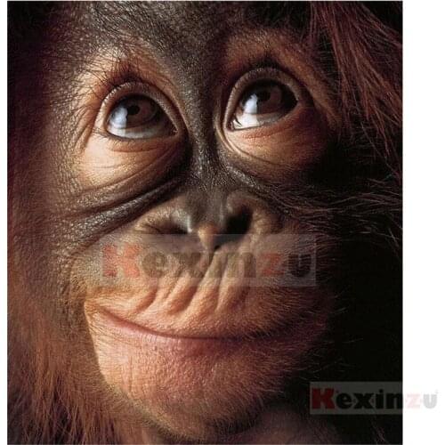 Kexinzu Full 5D DIY Square/Round Drill Diamond Painting "Animal Gorilla" 3d Diamond Embroidery Cross Stitch Decor Gift K510