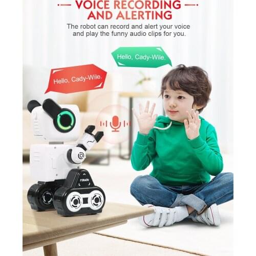 2.4GHZ INTELLIGENT REMOTE CONTROL ROBO-ADVISOR Smart Remote Control Robot Toy man Electronic Pet Animal Kids Education toy