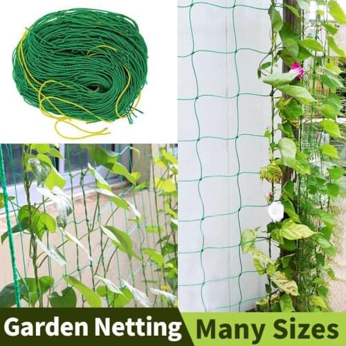 Plant Stand Gardening Tools And Equipment Plant Climbing Wall Fixture Plant Climbing Wall Clip Plant Holder Support Plante