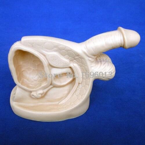 Male Urethral Catheterization Simulator,Advanced Male Internal and External Genital Organs Model