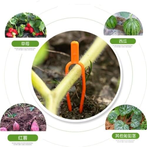 Watermelon Vine Fixed Fork Plastic Garden Plant Clips for Trellis Twine Greenhouse Tool Strawberry Bundled Vines Vegetable Clips