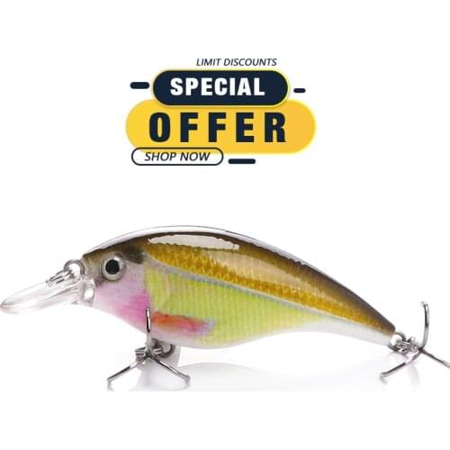 TREHOOK Limited Special Offer 6cm 10g Floating Wobblers Crankbaits Fishing Lure
