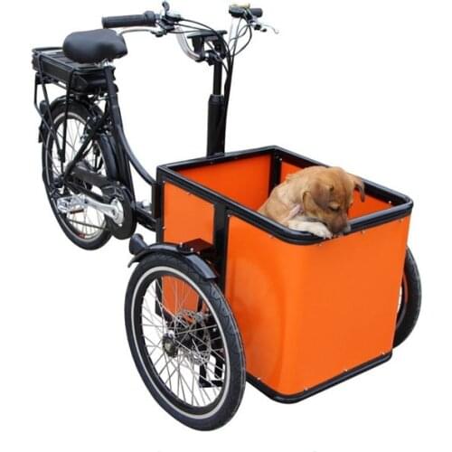Adult Tricycle Mini Electric Mobile Cargo Bike Shopping Cart Trike Carrying Kids Children Pets Dog Bakfiets Customizable