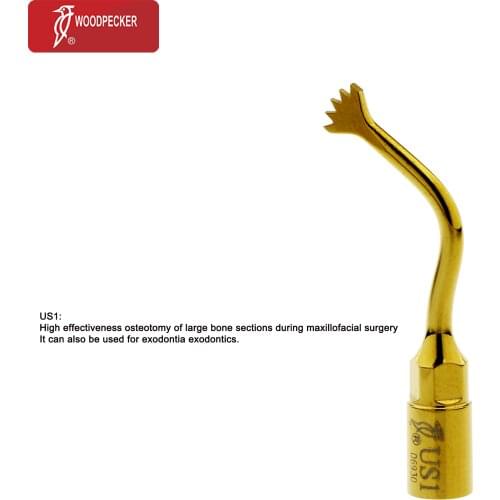 Woodpecker Dental Ultrasurgery Bone Surgery Tip US1 for EMS Woodpecker Mectron