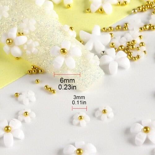 1Bag Acrylic Flower Nail Art Decoration Mixed Size Manicure Tool Accessories for DIY Nails Design Salon Home Use