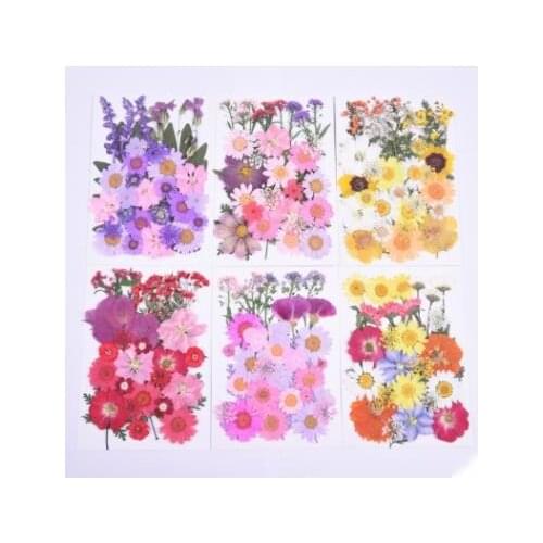 Dry Flower Material Embossing Drop Glue Mobile Phone DIY Candle Making Photo Face Petal Makeup Childrens Hand Painting