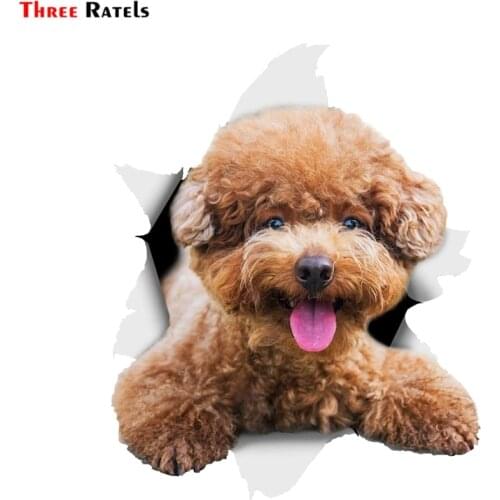 Three Ratels 1078 3DSmiling Brown Poodle Dog Wall Decals Dog Sticker Decals for Walls Fridge Cars Toilet Luggage Skateboard Lapt