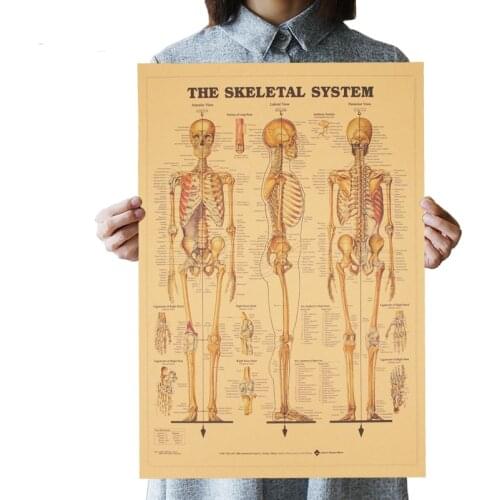 The Skeleton of The Body Structure Nervous System Poster Bar Home Decor Retro Kraft Paper Painting 51x35cm Wall Sticker