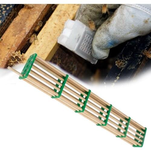 Queeen Cage Made Of Bamboo Longer Type Queen Bee Cage Suitable For Winner Honeybee Goods Tools For Beekeeper Supplies