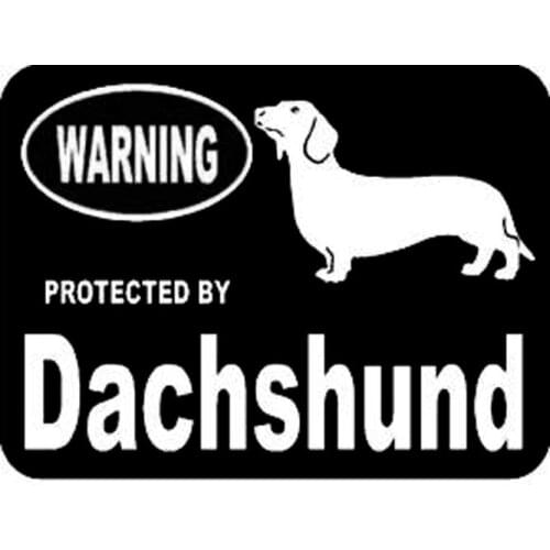 13.3cm*10cm Car Styling Animal Protected By Dachshund Vinyl Car Stickers Accessories C5-1933