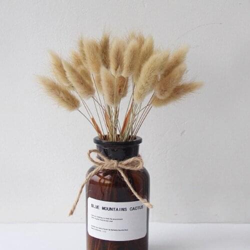 30Pcs Natural Dried Flower Bunny Tail Natural Plants Floral Rabbit Grass Bouquet Home Decoration Accessories Photography Props