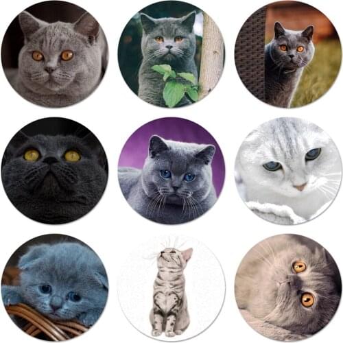 58mm British Shorthair cat Icons Pins Badge Decoration Brooches Metal Badges For Clothes Backpack Decoration