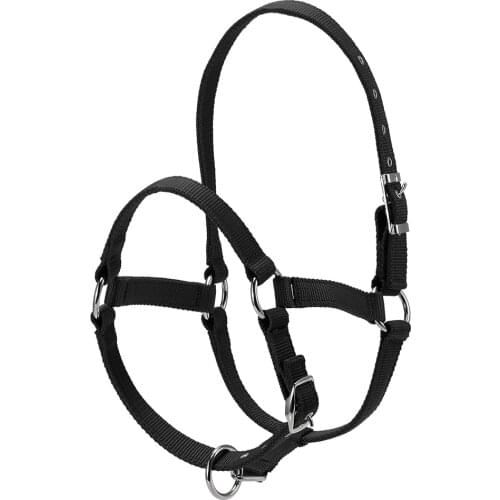 Durable Horse Head Collar Halter 6MM Thickened Horse Riding Bridle Horse Riding Equipment Halter Horse Accessories
