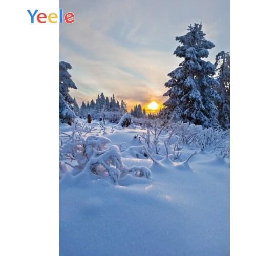 Yeele Winter Landscape Photocall Pines Sunrise Ins Photography Backdrops Personalized Photographic Backgrounds For Photo Studio