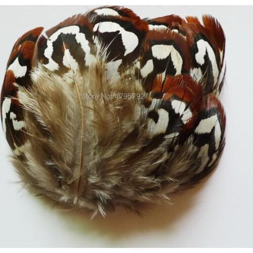 20Pcs 4-9cm Natural Chicken Pheasnt Plume Feathers For Mask Headwear Home Wedding Hat DIY Decoration Crafts Jewelry Accessories