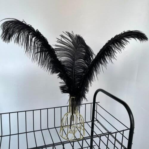 EMS Free Shipping 50pcs/lot (White 25pcs + Black 25pcs)16-18 inches 40-45cm ostrich feather ostrich plumes ostrich plumage