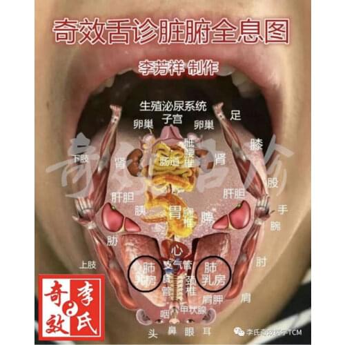 Miraculous Tongue Diagnosis Method TCM Material